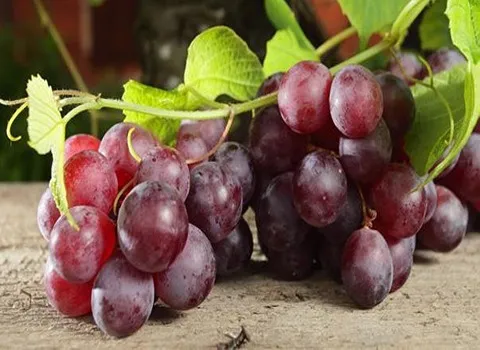 قیمت خرید انگور قرمز از تولید به مصرف به صورت عمده و جزئی
