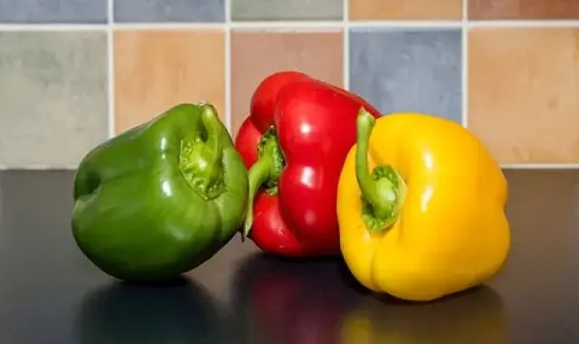 فلفل دلمه ای در یزد؛ خام پخته کبابی 3 خاصیت محافظت روده ها رفع خستگی استرس