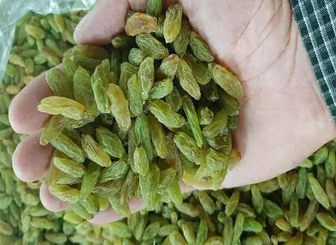 کشمش قلمی سبز (عسگری) دانه دار بدون دم بسته بندی کوچک بزرگ