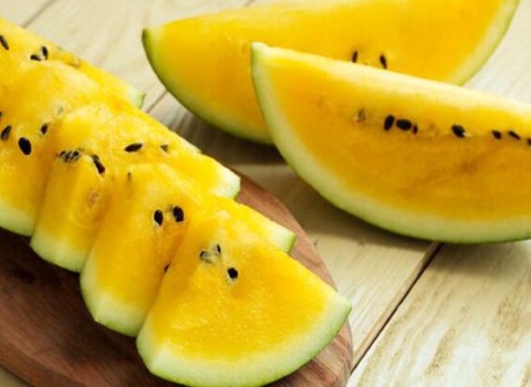 خرید هندوانه زرد تراریخته + قیمت عالی با کیفیت تضمینی