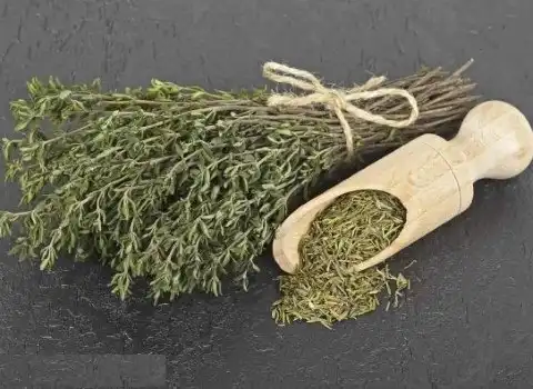 خواص آویشن تازه + قیمت خرید