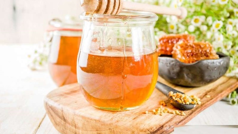 خرید عسل کوهی بشاگرد + قیمت عالی با کیفیت تضمینی