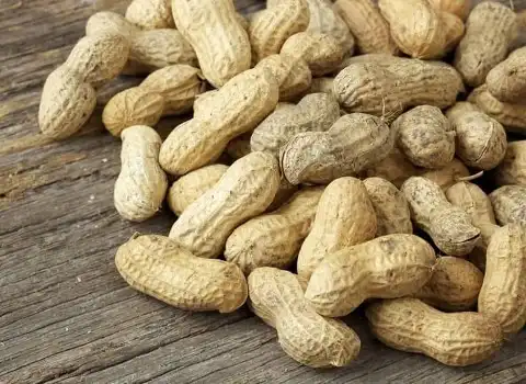 خرید و قیمت عمده بادام زمینی خام + فروش کلی