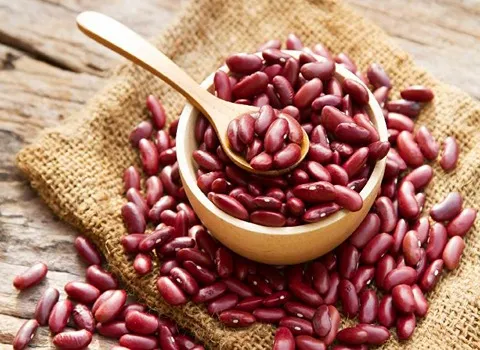 لوبیا قرمز محلی (کلیوی) درمان کم خونی سردرد آهن فیبر Protein
