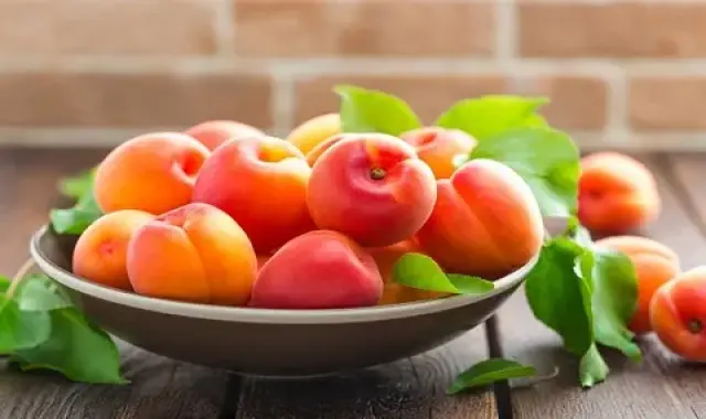 هلو صادراتی؛ شیرین آبدار سرد تر کمپوت (Peach)