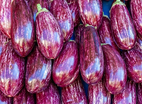 خرید بادمجان بنفش راه راه + بهترین قیمت