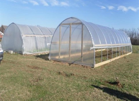 نایلون بزرگ کشاورزی؛ شفاف مات 2 نوع برش خورده طاقه ای مناسب گلخانه