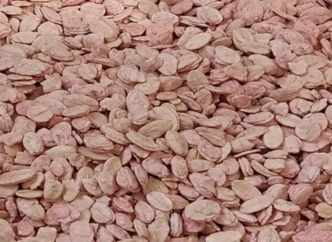 جو دوسر طعم دار؛ طعم موز فندق سیب حاوی فیبر مناسب کاهش وزن