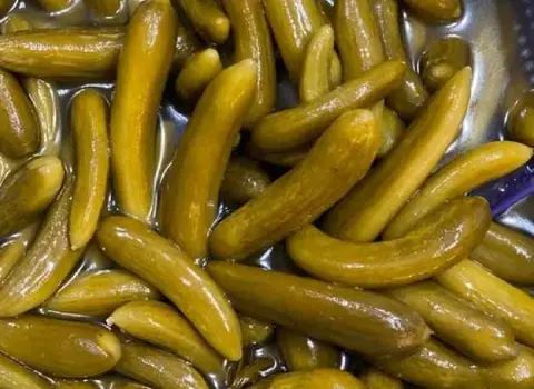 قیمت خیارشور عمده