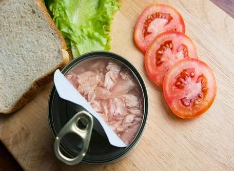 کنسرو تن ماهی طبیعت پرسپولیس + بهترین قیمت خرید