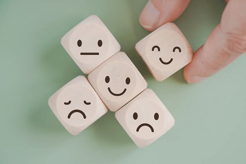 پتانسیل های داخلی و خارجی تجارت عنکبوتی - ۵ مهر