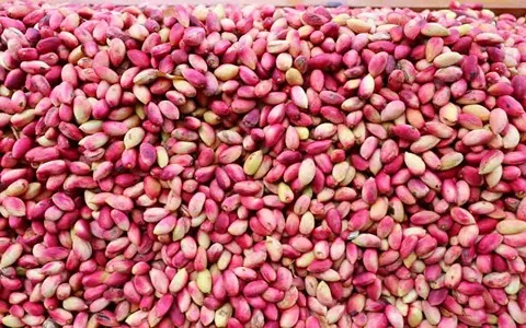 قیمت پسته تازه خام با پوست