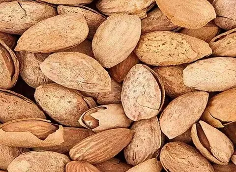 قیمت بادام درختی منقا + مشخصات بسته بندی عمده و ارزان