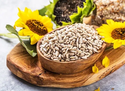 خرید و قیمت روز مغز تخمه آفتابگردان