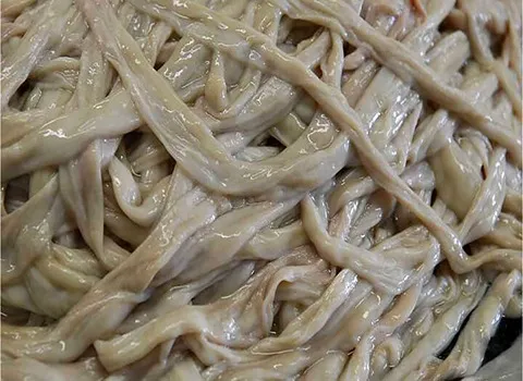 خرید عمده روده گوسفند برای نخ بخیه با بهترین شرایط