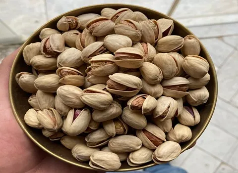 مشخصات پسته کله قوچی درجه یک و نحوه خرید عمده
