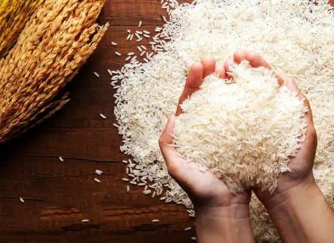 برنج فجر استخوانی؛ کته آبکشی (5 10 20) کیلویی آهن Calcium