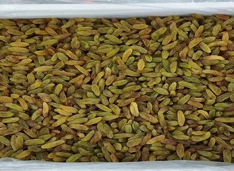 قیمت کشمش بدون هسته