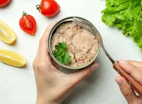 قیمت و خرید کارخانه تن ماهی تهران + فروش ارزان