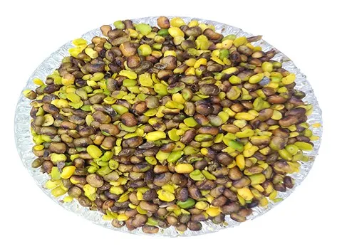 مغز پسته کوهی؛ گرد خرد شده پودری 2 رنگ سبز قرمز