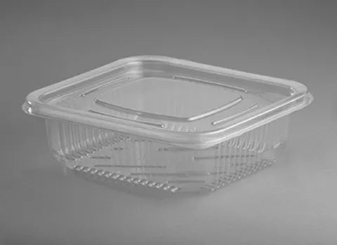 ظرف یکبار مصرف در دار شفاف؛ ساده دسته دار مربعی مستطیلی plastic