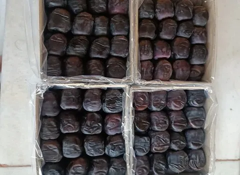 قیمت خرما سیاه مضافتی + پخش تولیدی عمده کارخانه