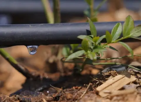 لوله آبیاری قطره ای در تهران (پلی اتیلن) پلاستیک خشک مستحکم Pipe