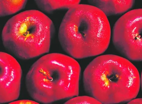 بهترین نوعهای سیب قرمز موجود در بازار در ۱۴۰۱ + قیمت خرید عالی