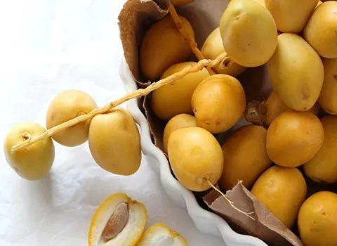 راهنمای خرید خرما خارک تازه + قیمت عالی