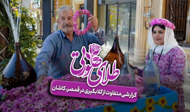 طلای صورتی + پارتی یا توانایی + از نقشه کشی تا صادرات ظروف + میتینگ مشخص کردن جامعه هدف در بازارهای صادراتی - ۳۱ اردیبهشت