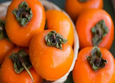 قیمت خرید میوه خرمالو + مزایا و معایب