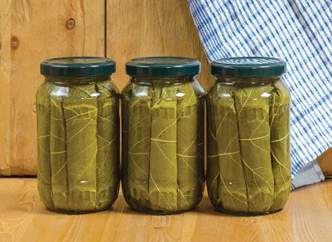 بهترین قیمت خرید کنسرو برگ مو