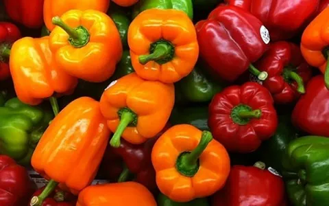 فلفل دلمه (صیفی جات) سبز قرمز زرد نارنجی طبع سرد