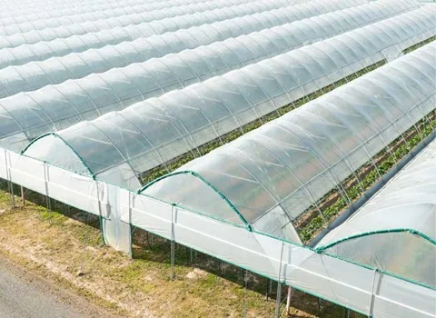 خرید و قیمت انواع نایلون مخصوص کشاورزی