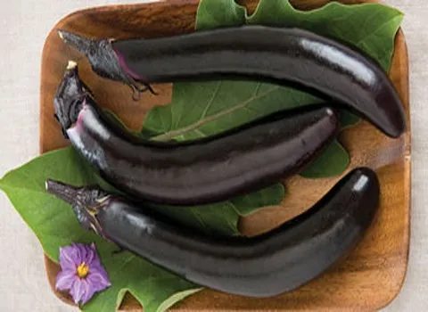 آشنایی با بادمجان قلمی ژاپنی و خواص و فواید شگفت انگیز آن