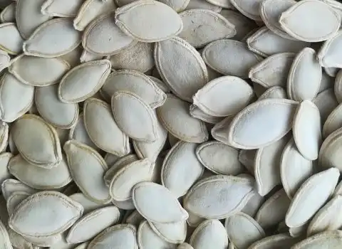 تخمه کدو برای دیابت؛ خام طعم دار کنترل قند خون منیزیم Protein