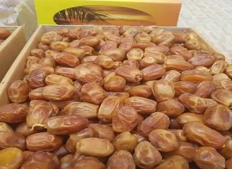 معرفی خرما زاهدی بسته بندی + بهترین قیمت خرید