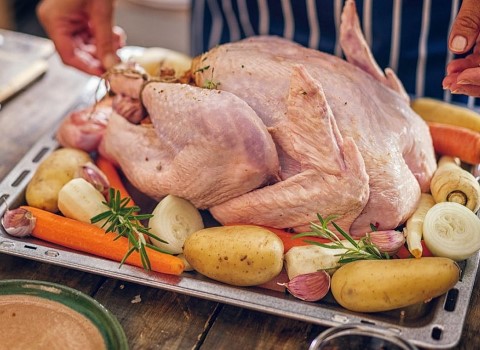 از کجا بفهمیم گوشت بوقلمون تازه است + قیمت خرید