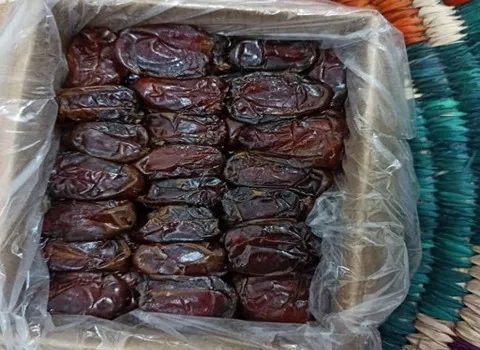 قیمت خرما کبکاب کارتنی + پخش تولیدی عمده کارخانه