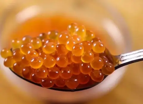 خرید خاویار طلایی دریای خزر با قیمت استثنایی