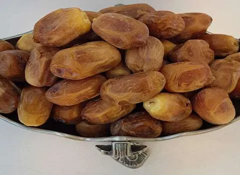 مشخصات خرما برحی آبادان و نحوه خرید عمده