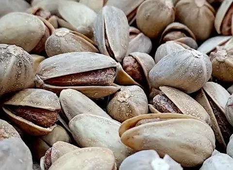 پسته اکبری یزد؛ کشیده درشت 2 مدل خام بو داده Pistachio