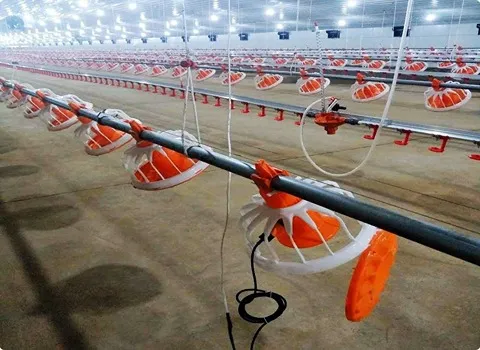 قیمت دانخوری اتوماتیک مرغداری + پخش تولیدی عمده کارخانه