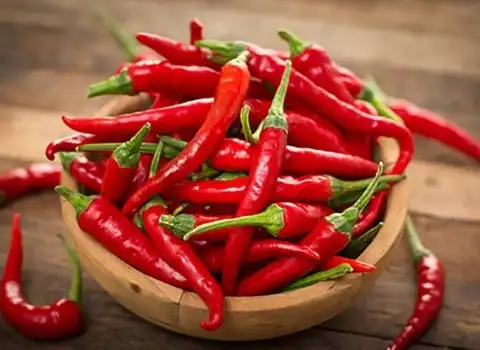 خرید و قیمت روز فلفل قرمز تازه