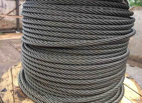 سیم مفتول سیاه؛ تک رشته مشکی تورهای سیمی حصار Black