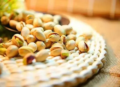 پسته فندوقی | فروشندگان قیمت مناسب پسته فندوقی