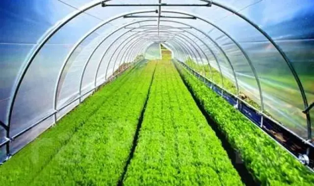 نایلون کشاورزی شیراز؛ مقاوم برابر نور رولی کیلویی 3 رنگ سفید آبی مشکی