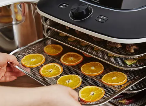 قیمت و خرید دستگاه میوه خشک کن خانگی گازی + فروش ارزان