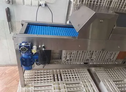 مشخصات جت پرینتر تخم مرغ و نحوه خرید عمده