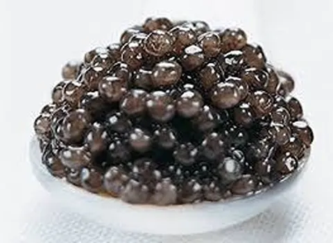 خاویار روسی بلوگا | خرید با قیمت ارزان